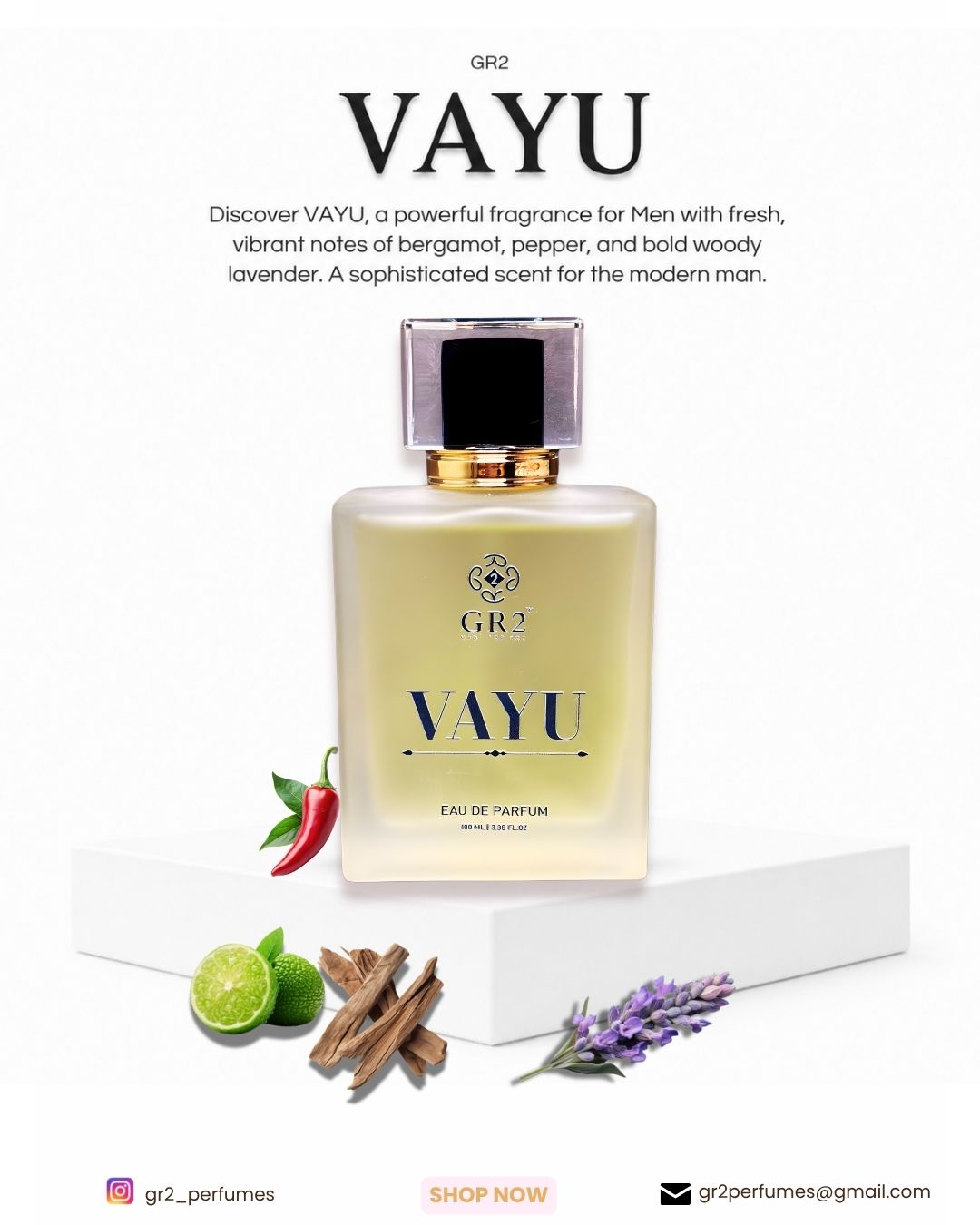 Vayu - Eau de Parfum for Men Fragrance with Fresh bergamot and pepper with lavender on a bold woody base. 100 ml Spray